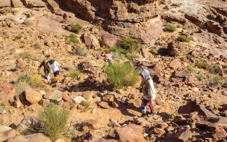 guests and guide hiking a bedouin road